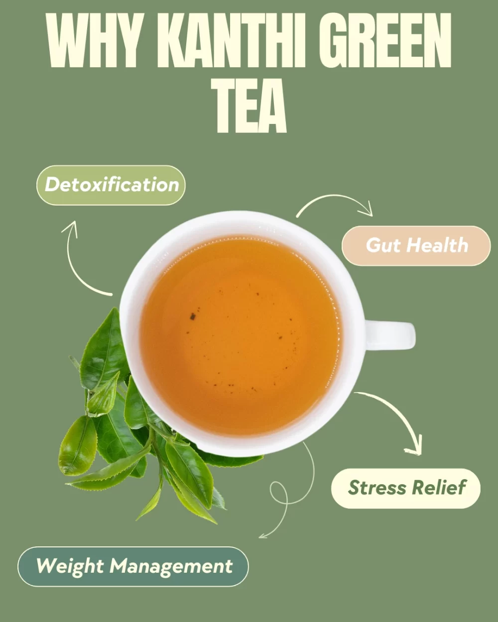Green Tea - Image 5