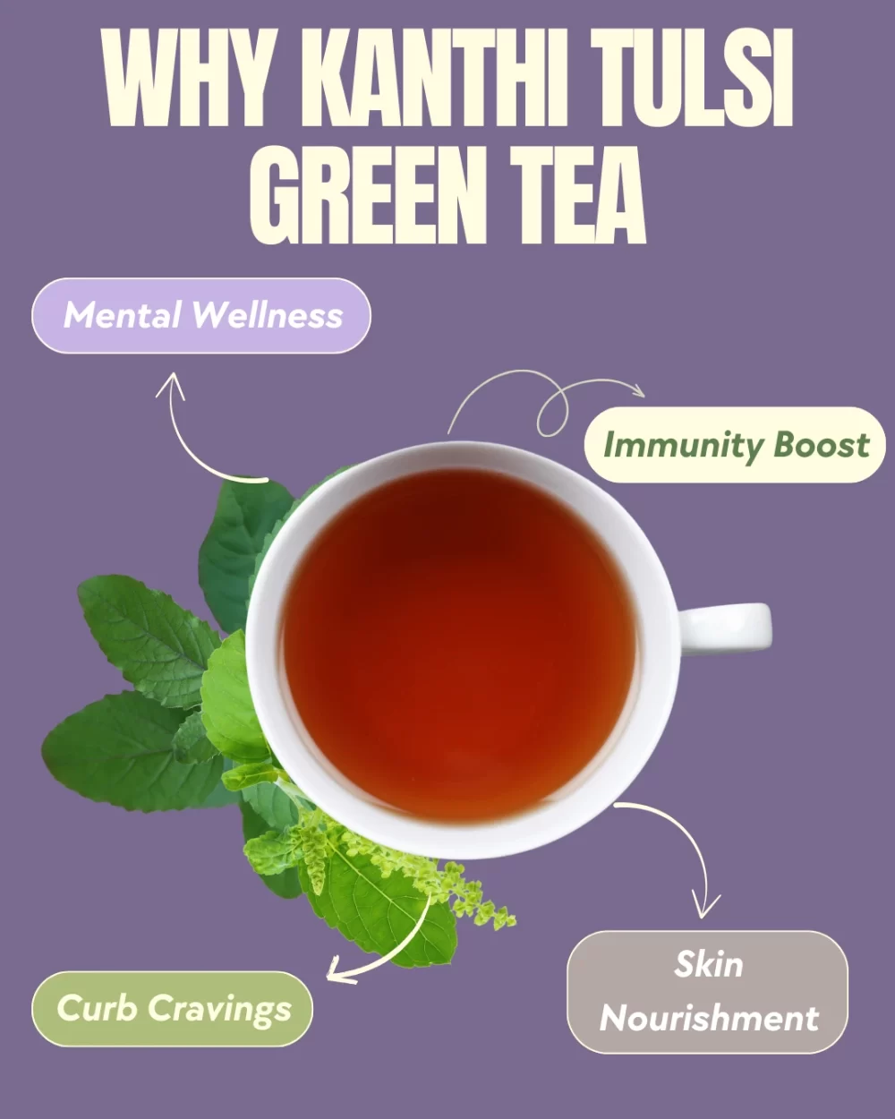 Tulsi Green Tea - Image 5