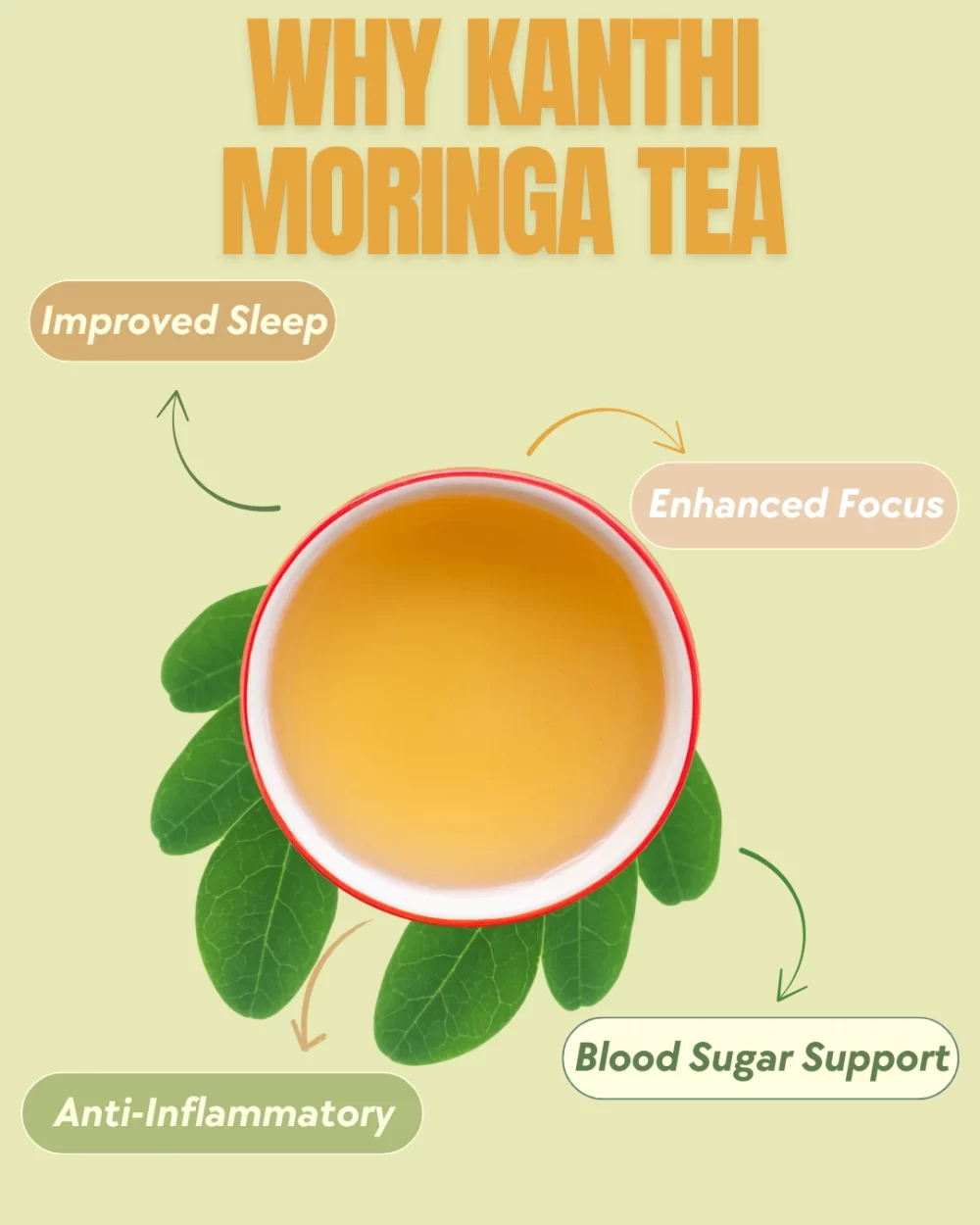 Moringa Tea - Image 5